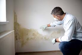 Best Industrial Mold Remediation  in Rock Falls, IL